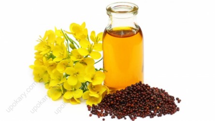1650344168-h-250-Organic_Mustard_Oil_with_seeds.jpg